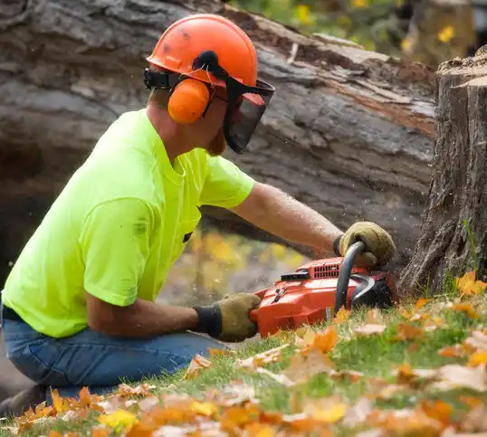 tree services Franklinton